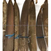 Puja Samagri- Tatela Phul (ततेला फुल) Approx: 35inch
